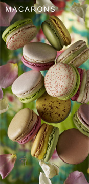 Macarons