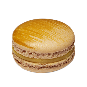 Macaron Auréa
