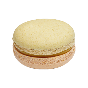 Macaron Solento