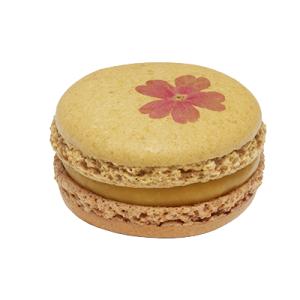 Macaron Solento Fleur séchée