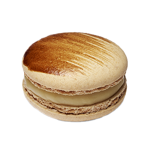 Macaron Truffe Blanche & Noisette