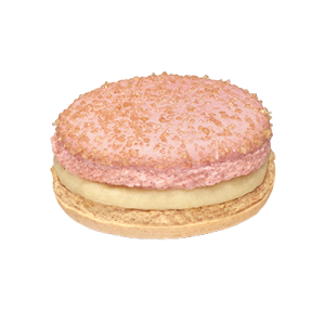 Macaron Vénus