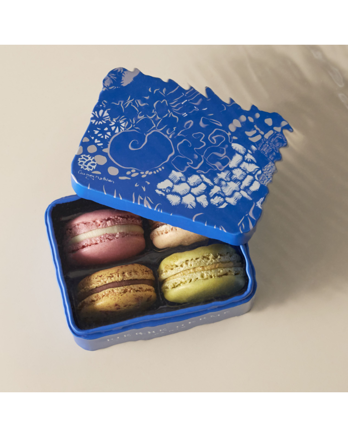Coffret de 4 macarons Noël Pierre Hermé Paris