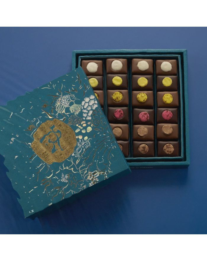 Coffret de 24 bonbons chocolat au macaron Pierre Hermé Paris