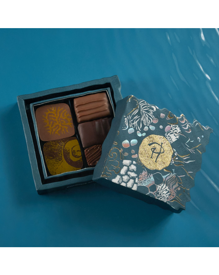 Bonbons de Chocolat 50g Pierre Hermé Paris