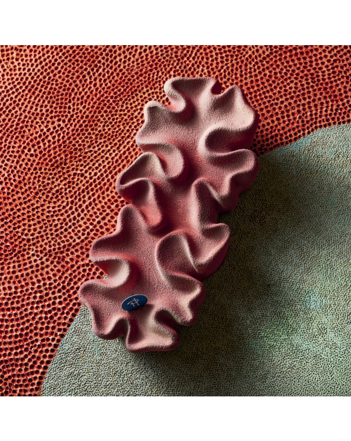 Anthéa - Bûche Signature Pierre Hermé Paris