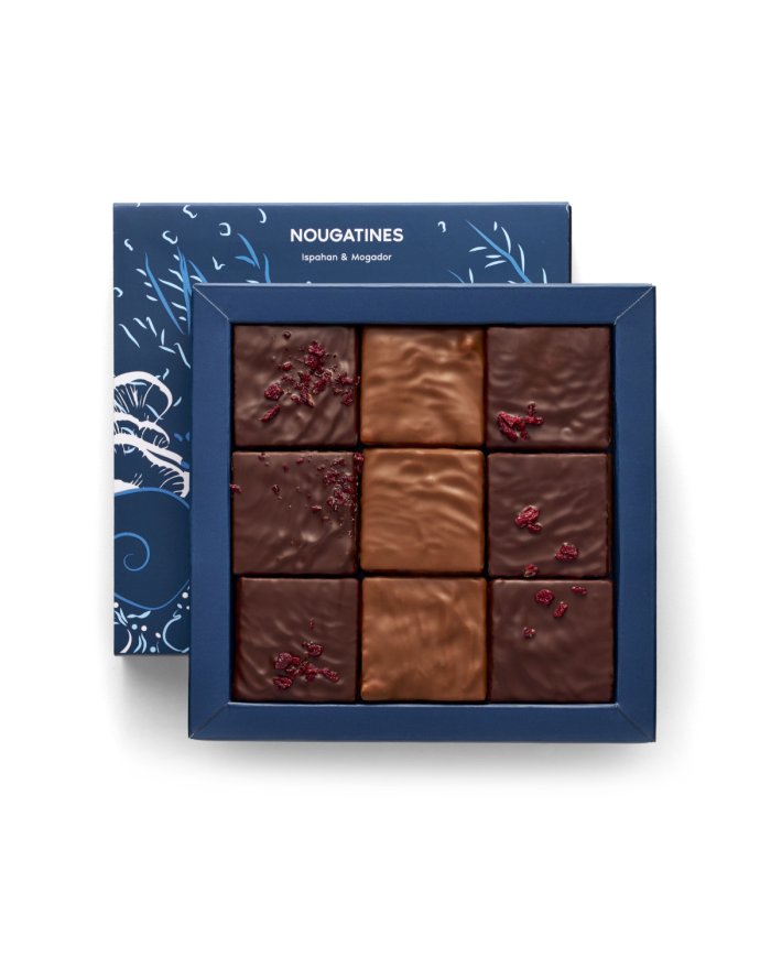 Nougatines Ispahan & Mogador Pierre Hermé Paris