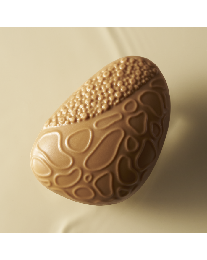 Récif Chocolat Blond & Praliné Pécan Pierre Hermé Paris