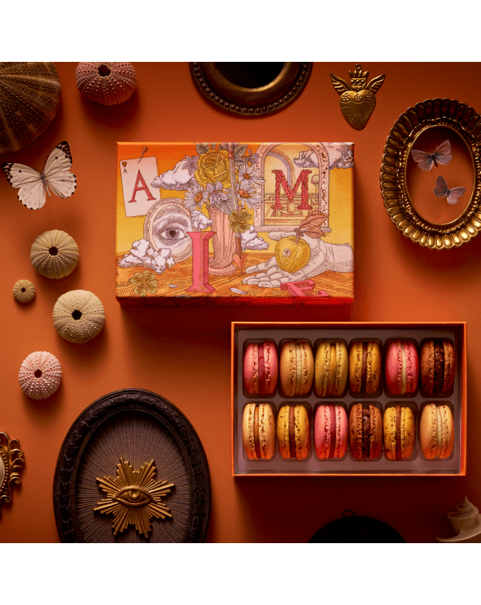 Coffret de 12 macarons Julie Serre Pierre Hermé Paris