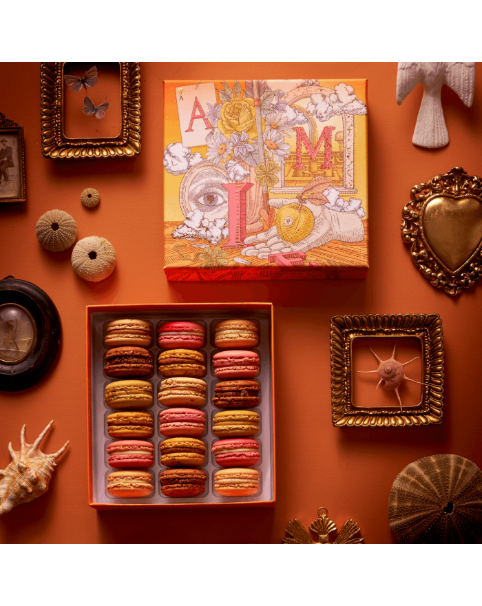 Coffret de 18 macarons Julie Serre Pierre Hermé Paris