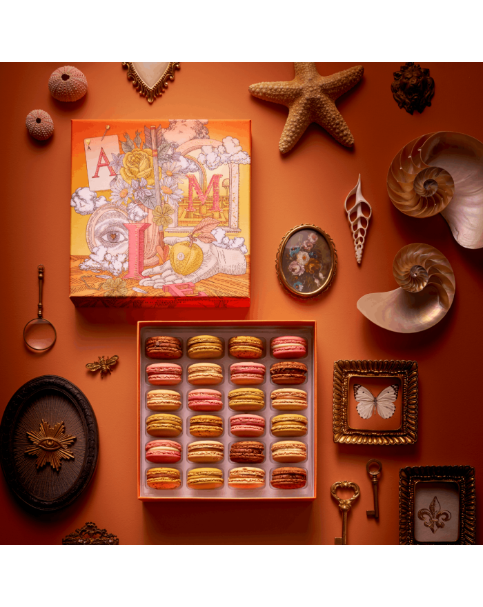 Coffret de 24 macarons Julie Serre Pierre Hermé Paris