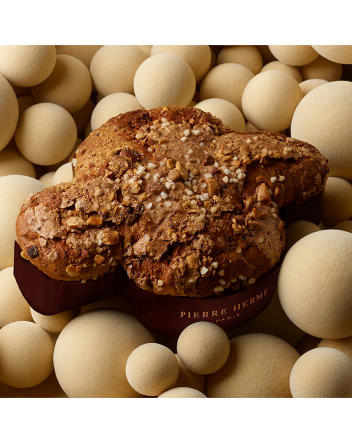 Colombe Infiniment Chocolat | Pierre Hermé Paris