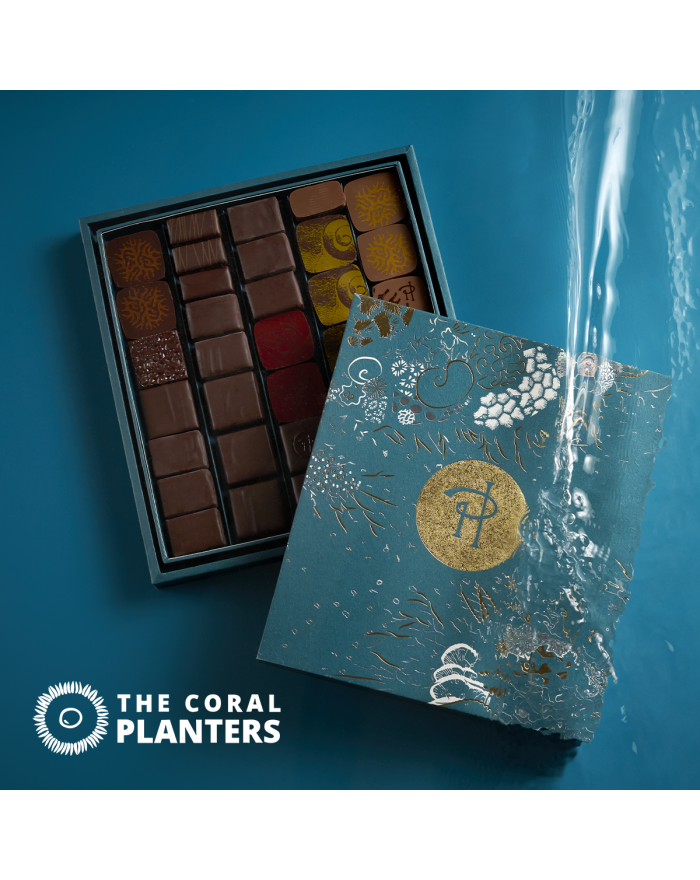 Adoption d'un corail et coffret de bonbons chocolat Pierre Hermé Paris