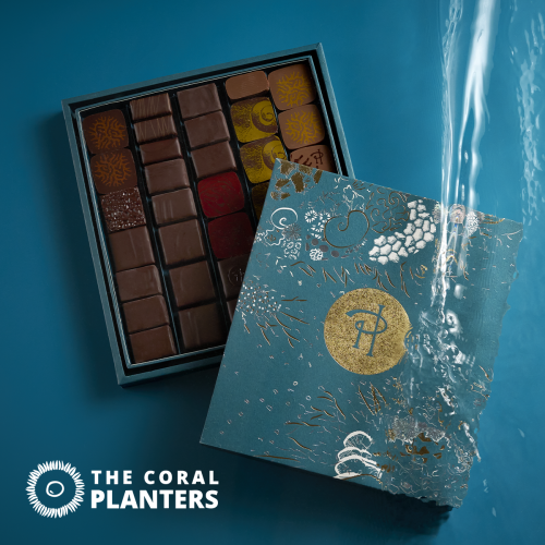 Adoption d'un corail et coffret de bonbons chocolat Pierre Hermé Paris