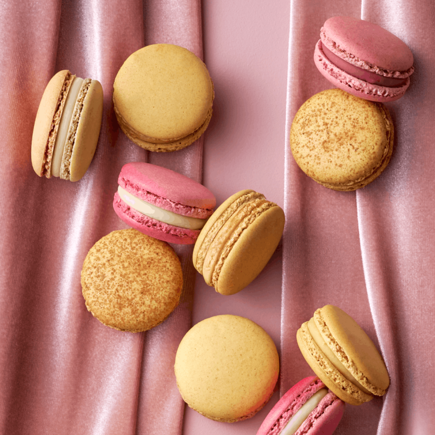 Coffret métal de 8 macarons - Céline Dion