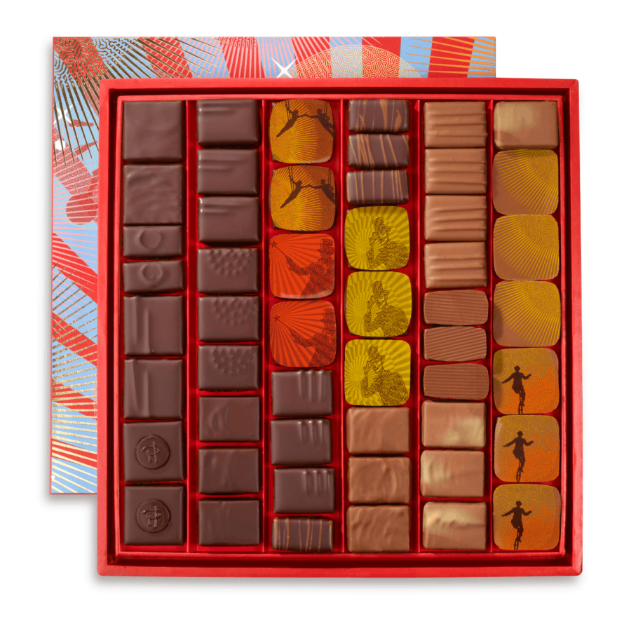 ASSORTIMENT DE BONBONS CHOCOLAT - 530g