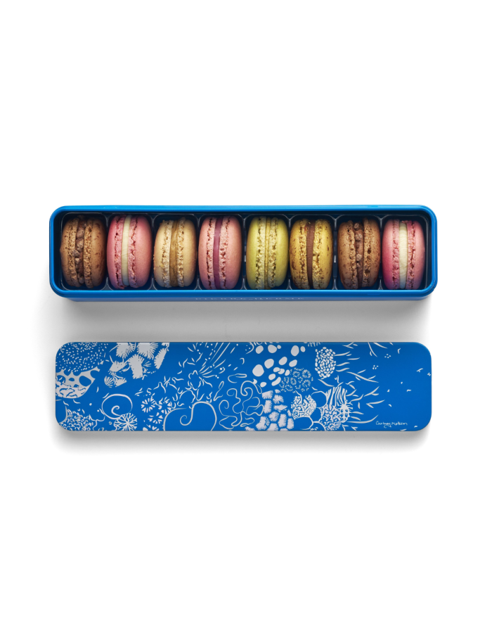 Coffret métal de 8 macarons Truffe Blanche & Noisette