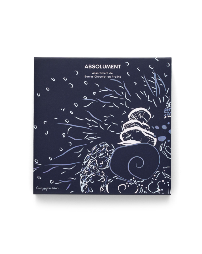 Absolument - Barres chocolat au Praliné
