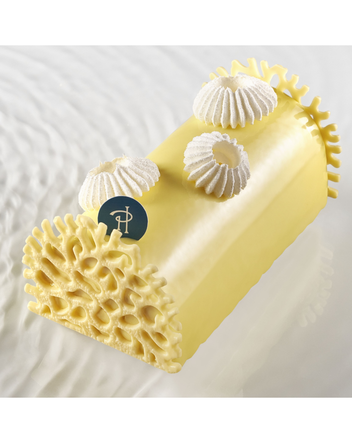 Bûche Glacée Jardin de Constance