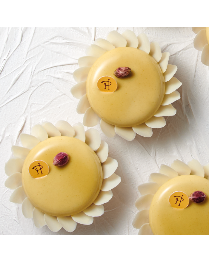 Tarte Arya