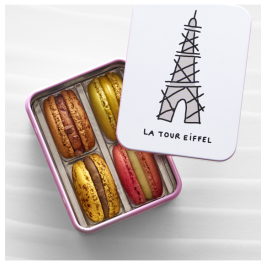 4_mac_tour_eiffel_amb_1.png