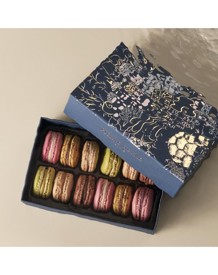 Coffret de 12 macarons Pierre Hermé Paris