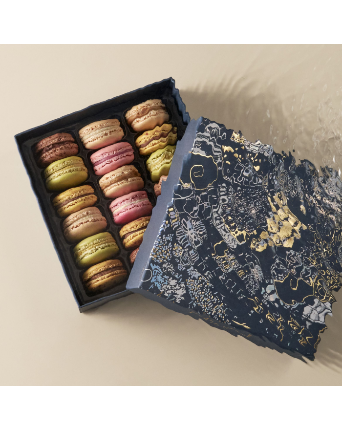 Coffret de 18 macarons Pierre Hermé Paris