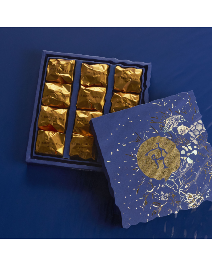 Coffret de 12 Marrons Glacés Pierre Hermé Paris