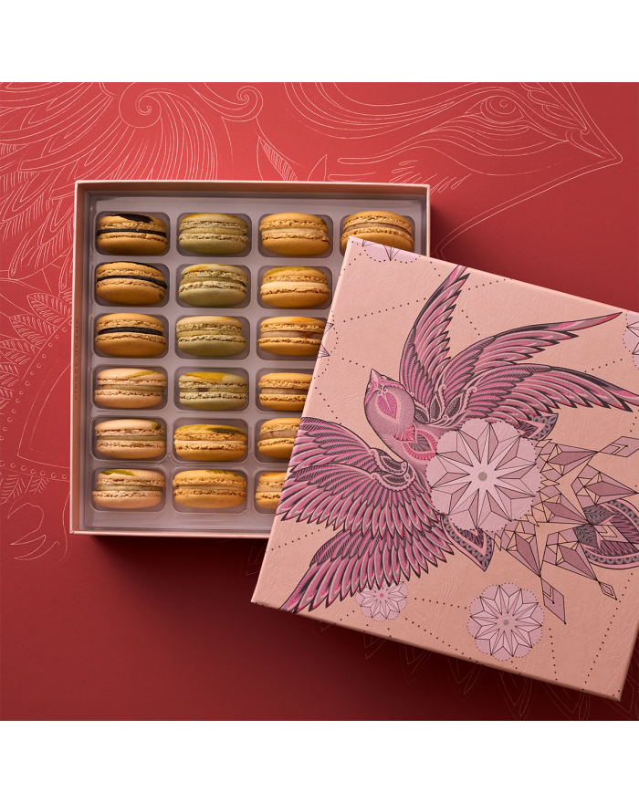 Coffret de 24 macarons assortiment découverte Pierre Hermé Paris