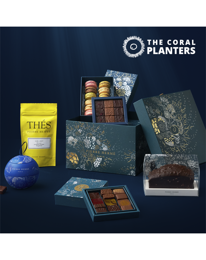 Coffret Cadeau Infiniment Gourmand Pierre Hermé Paris et Adoption d'un Corail avec The Coral Planters