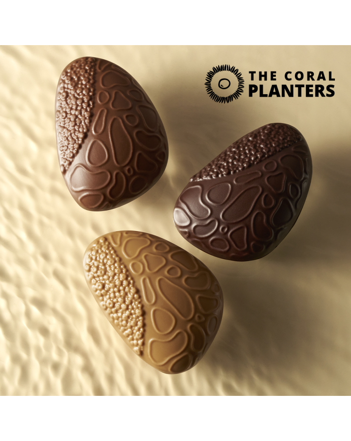 Adoption d'un Corail & Récif Chocolat au Lait, Praliné Amande