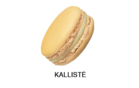 macaron