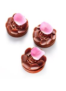 ROSE DES SABLES