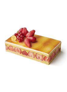 FRAISIER
