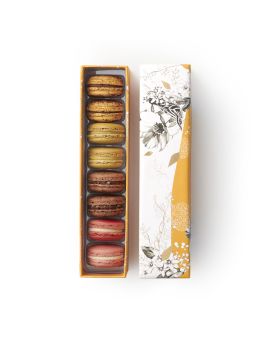 COLLECTION "HIVER 2023" 8 MACARONS