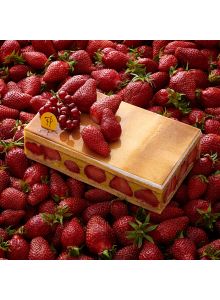 FRAISIER