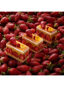 FRAISIER