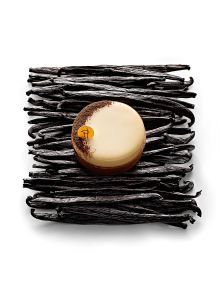 TARTE INFINIMENT VANILLE