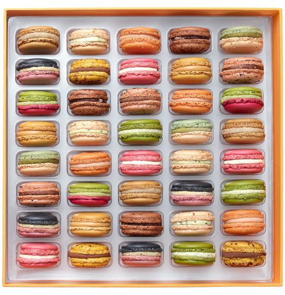 [Image: signature-40mac-sept-oct_1200x1200_1_1.jpg]